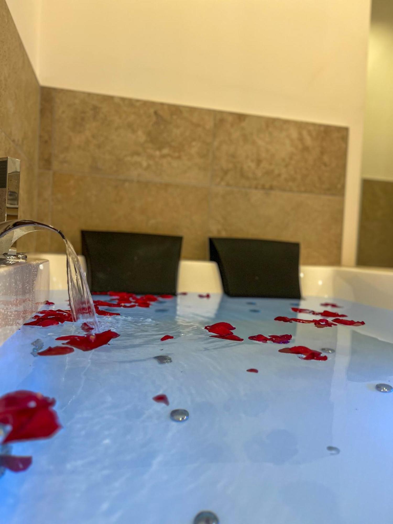 شقة Bibemus Casa Maja - Baignoire Balneo - Parking - Terrasse سانت إتيان المظهر الخارجي الصورة